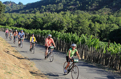 napa-valley-wine-trail